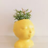 Pot en forme de visage en Jesmonite jaune, pour fleurs, crayons