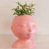 Pot en forme de visage en Jesmonite, couleur strawberry, pour fleurs, crayons